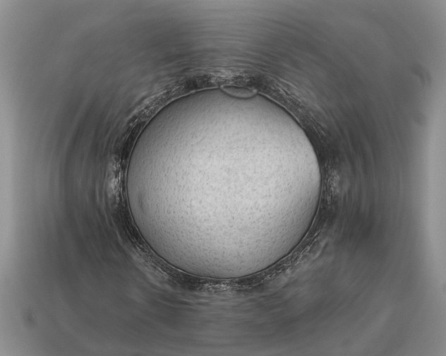 X0000112980914200909101711