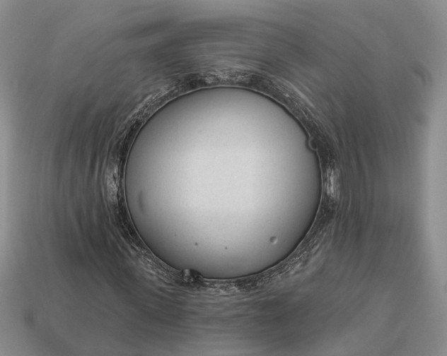 X0000112980915200909101711