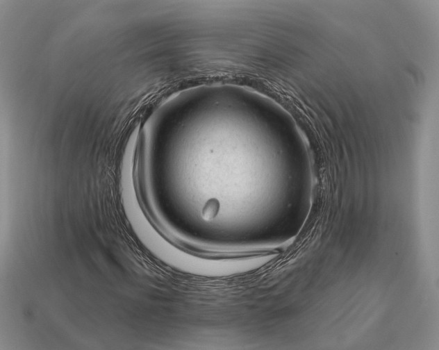 X0000112980916200909101711