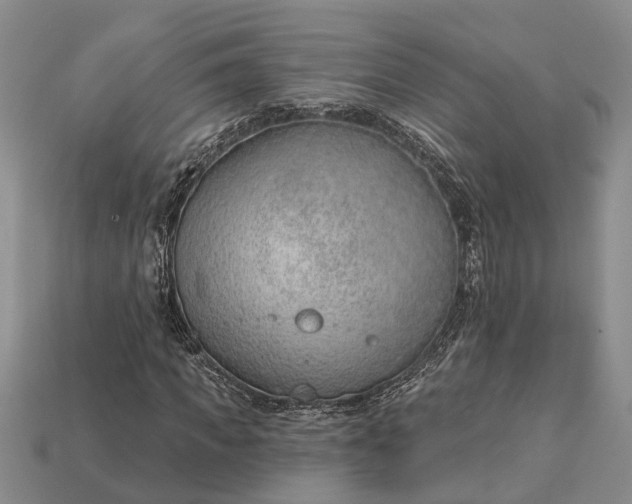 X0000112980917200909101711