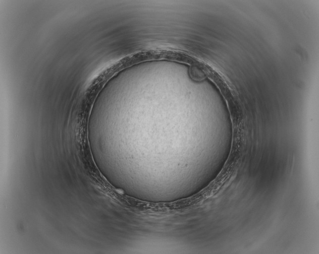 X0000112980919200909101711