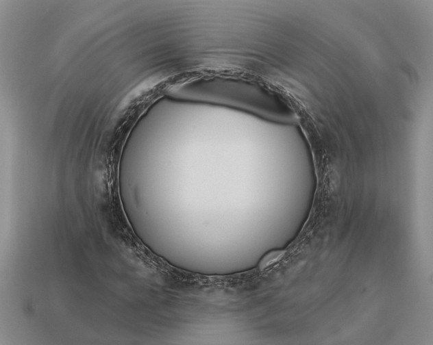 X0000112980920200909101711