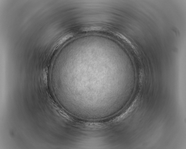 X0000112980921200909101711