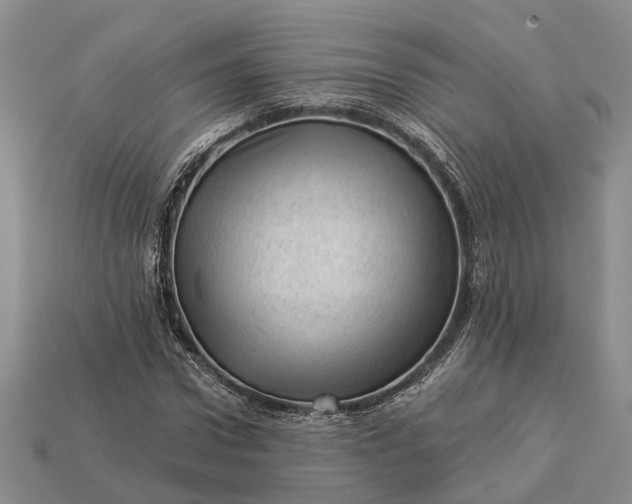 X0000112980922200909101711