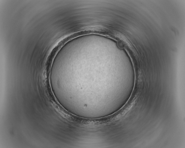 X0000112980923200909101711