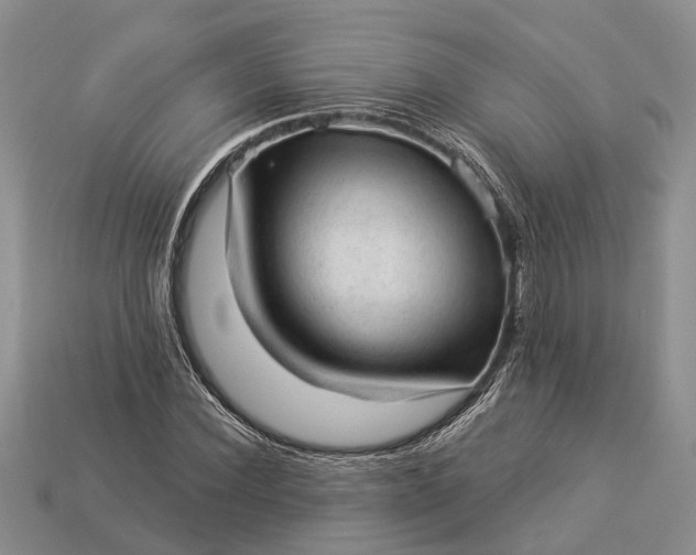 X0000112980924200909101711