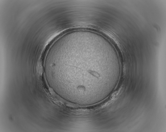 X0000112980925200909101711