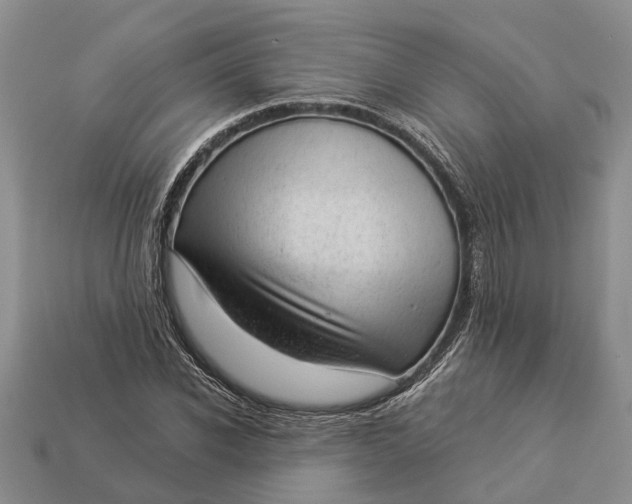 X0000112980926200909101711