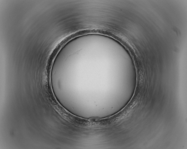 X0000112980927200909101711