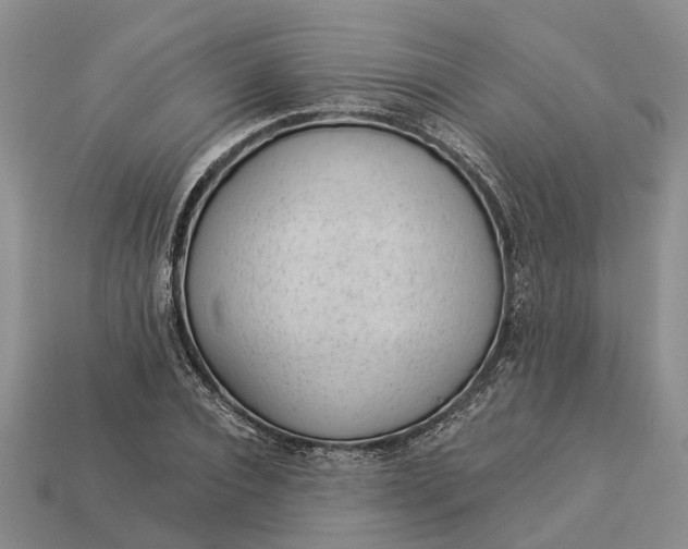 X0000112980928200909101711