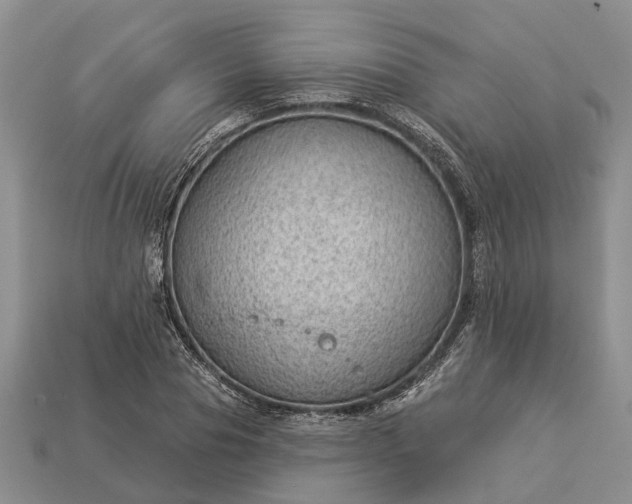 X0000112980929200909101711