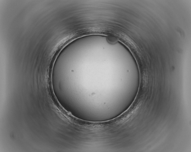 X0000112980930200909101711