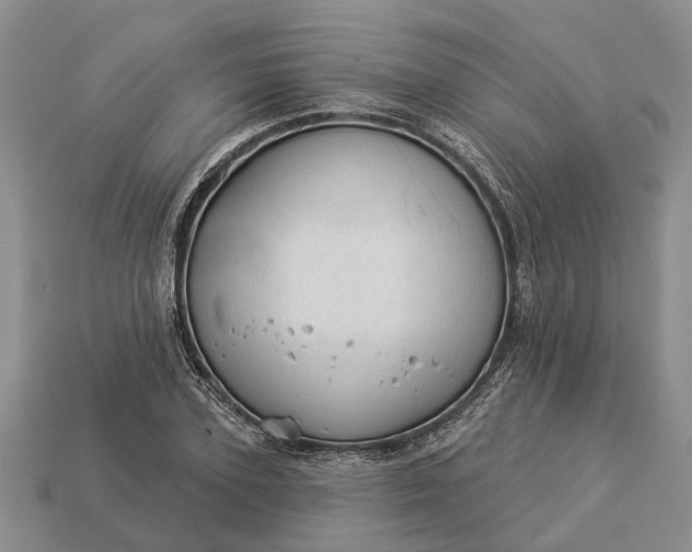 X0000112980931200909101711