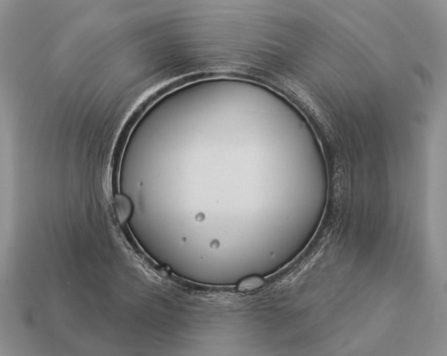 X0000112980932200909101711