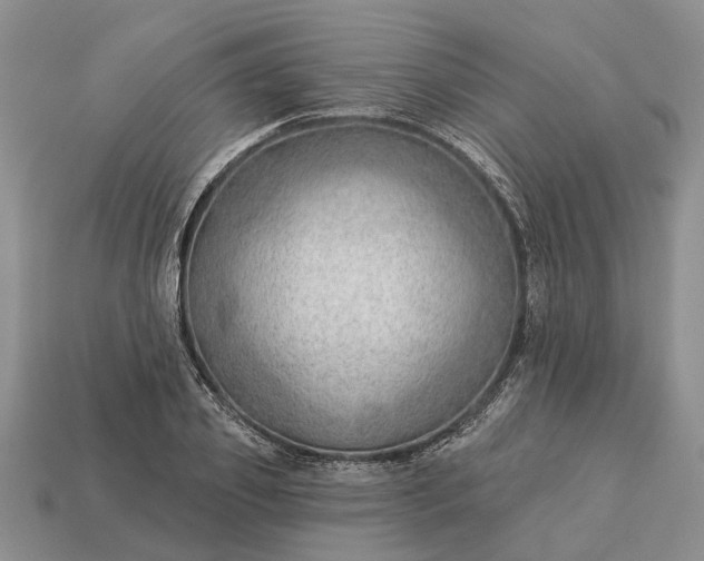 X0000112980933200909101711