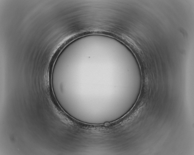 X0000112980934200909101711