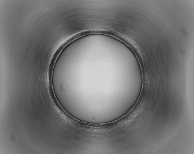 X0000112980935200909101711