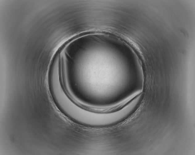 X0000112980936200909101711