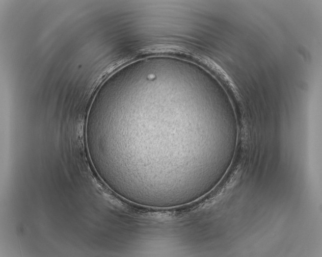 X0000112980937200909101711