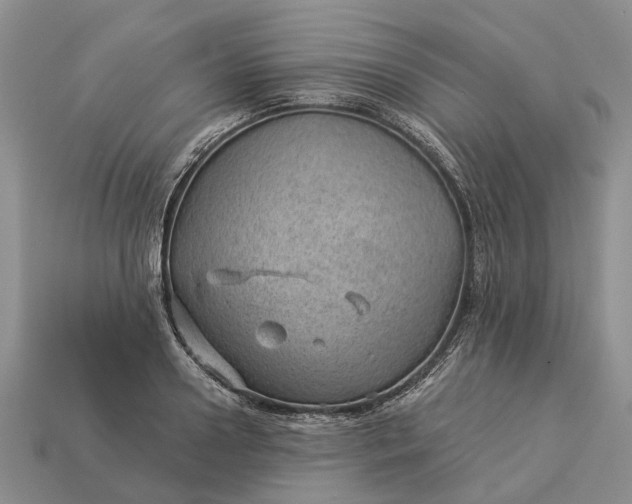 X0000112980938200909101711