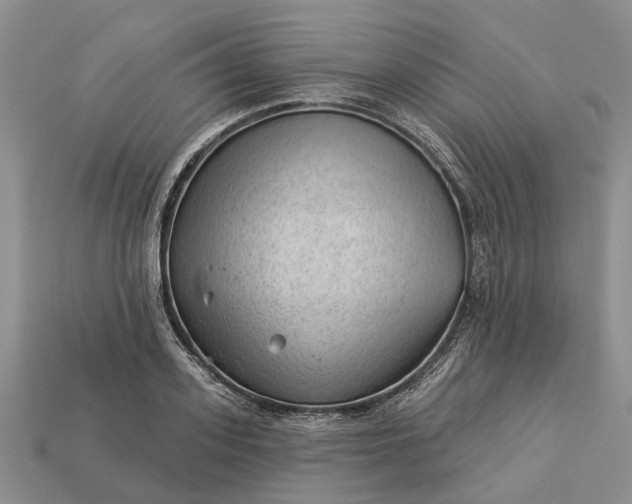 X0000112980939200909101711