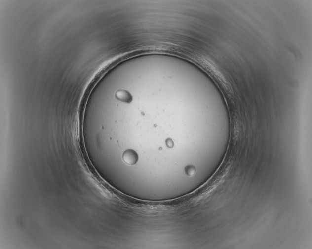 X0000112980940200909101711