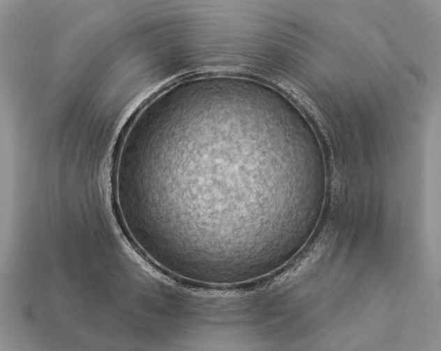 X0000112980941200909101711