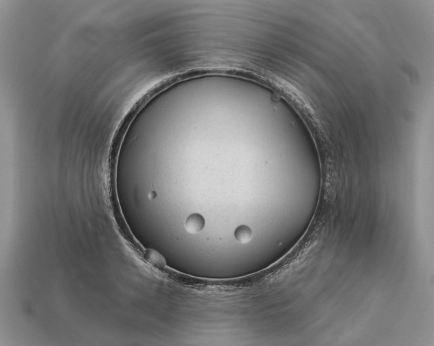 X0000112980942200909101711