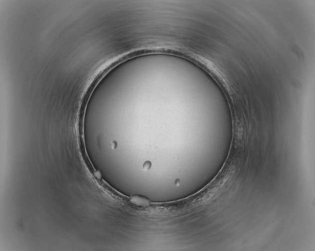 X0000112980943200909101711