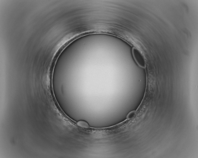 X0000112980944200909101711