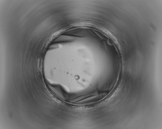 X0000112980945200909101711