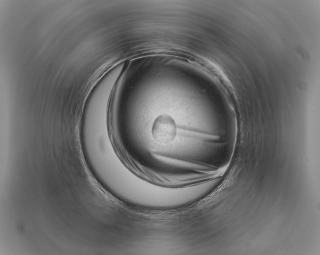 X0000112980946200909101711