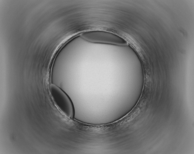 X0000112980948200909101711