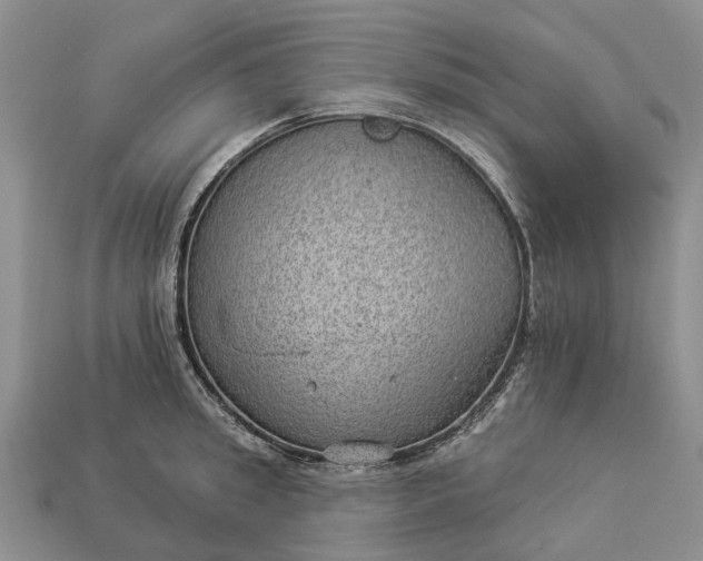 X0000112980949200909101711