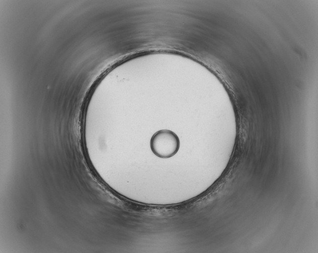 X0000112980950200909101711