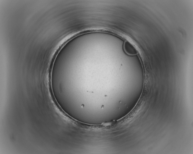 X0000112980951200909101711