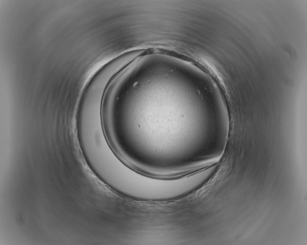 X0000112980952200909101711