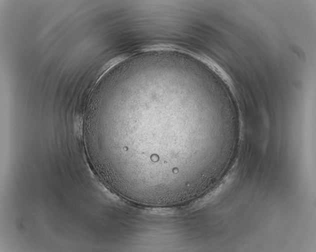 X0000112980953200909101711