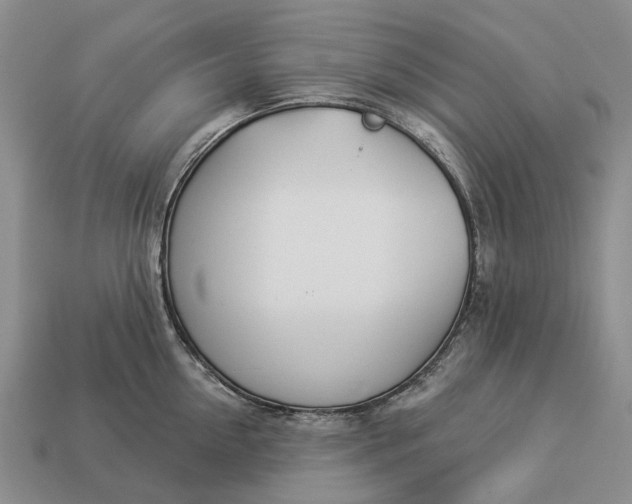 X0000112980954200909101711