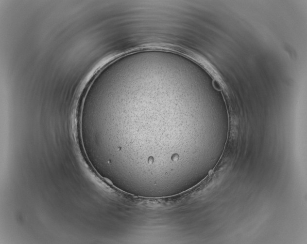 X0000112980955200909101711