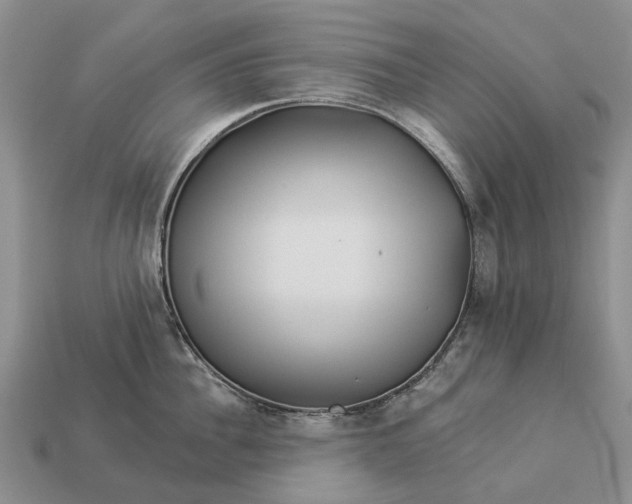 X0000112980956200909101711