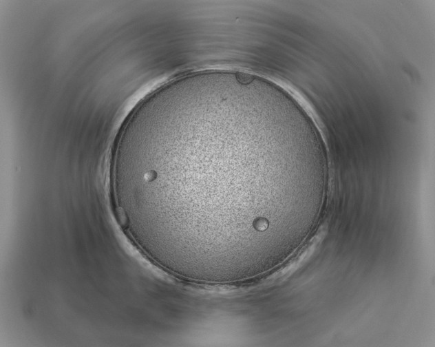 X0000112980957200909101711