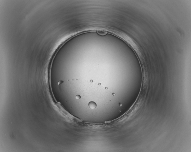 X0000112980958200909101711