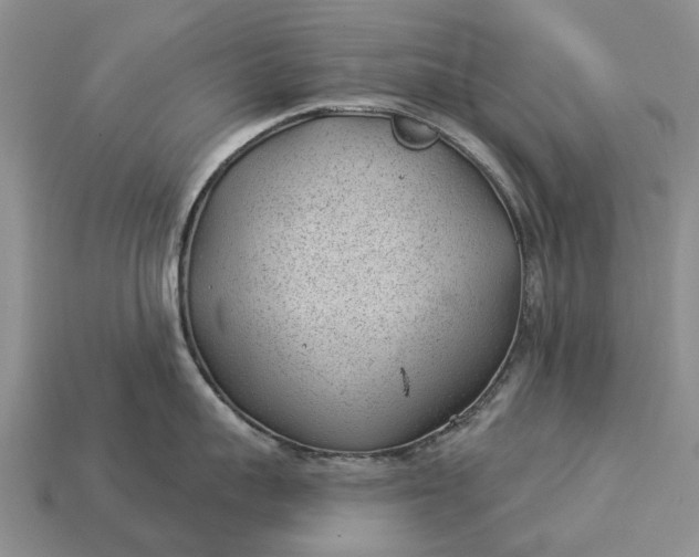 X0000112980959200909101711