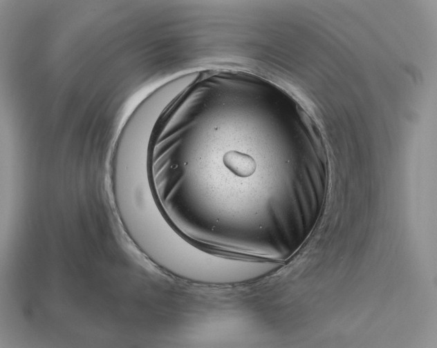 X0000112980960200909101712