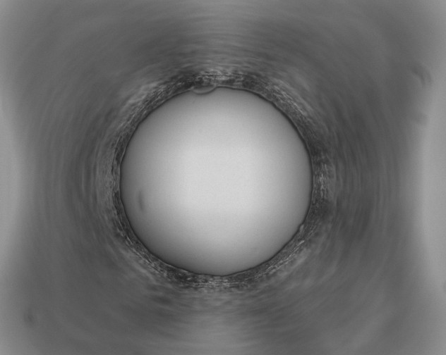 X0000112980961200909101711