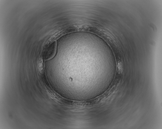 X0000112980963200909101711