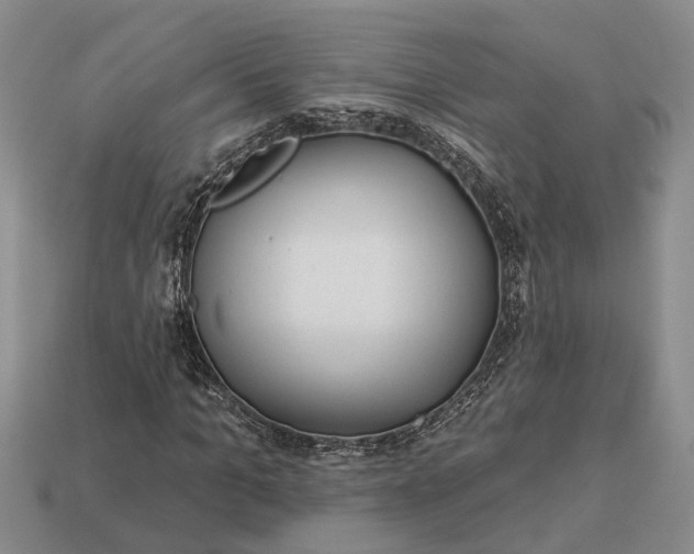 X0000112980965200909101711