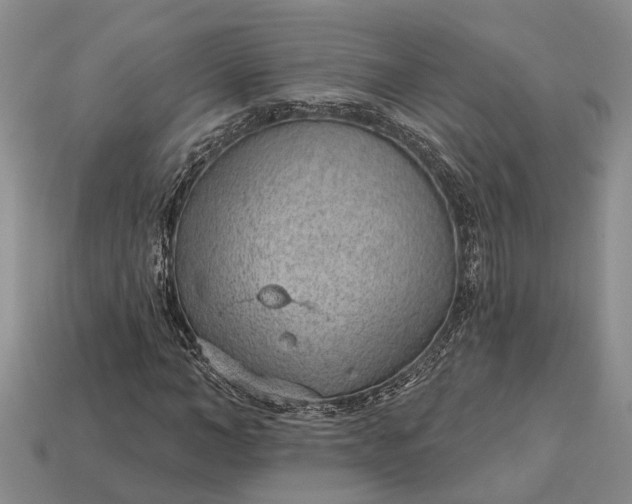 X0000112980966200909101711