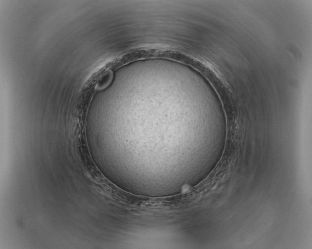 X0000112980967200909101711